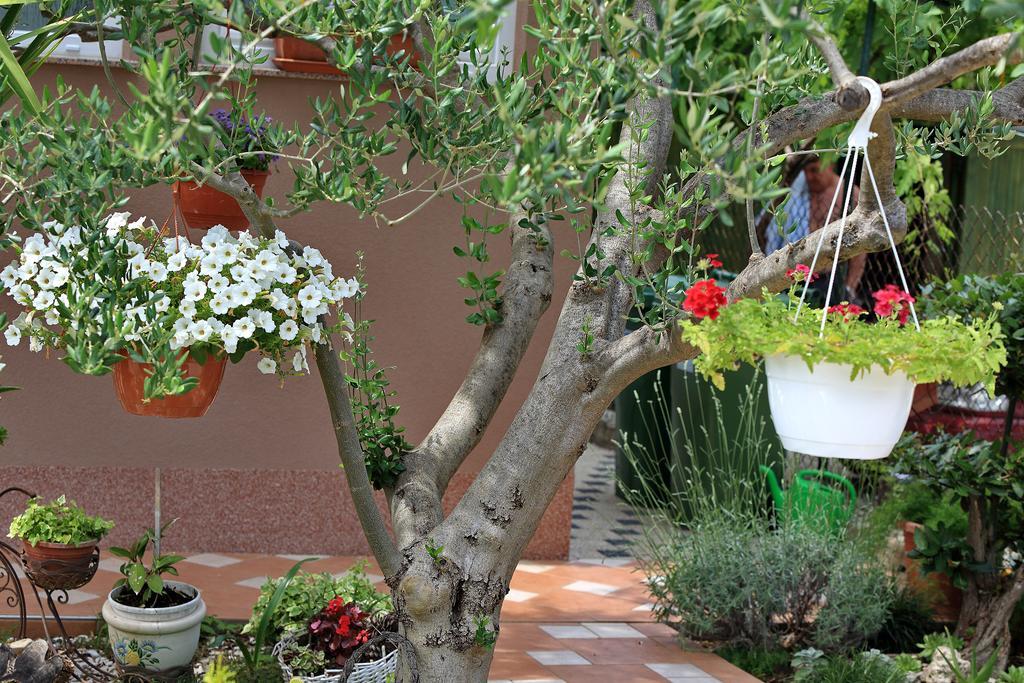 Apartments Melita Бибинє Номер фото